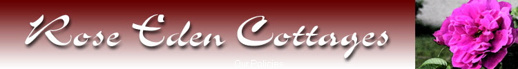 Our Policies
